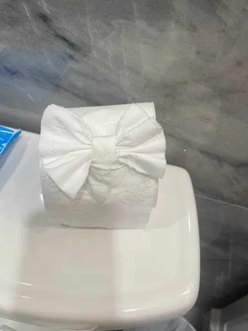 Keep It Clean With Raylene - Photo 2