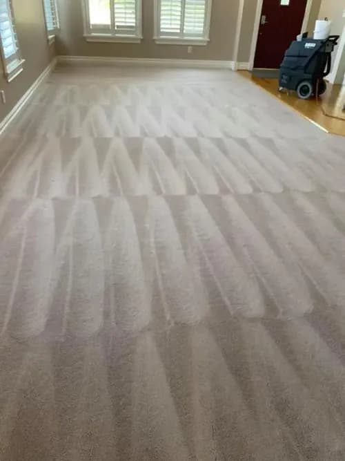 Kings Carpet Cleaning - Photo 1