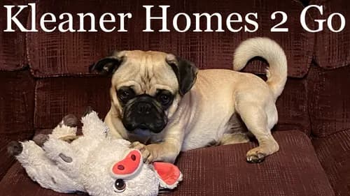 Kleaner Homes 2 Go LLC