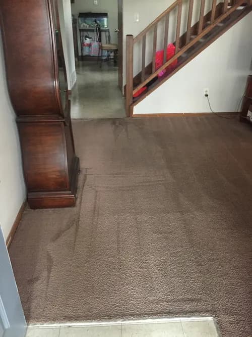 L&N Cleaning Solutions - Photo 2