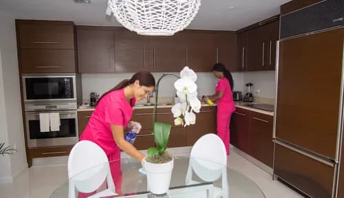 Lazy Susans Cleaning Service - Photo 3