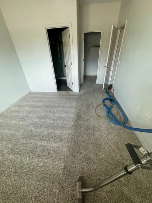 Legacy Steamers and Cleaners LLC - Photo 1