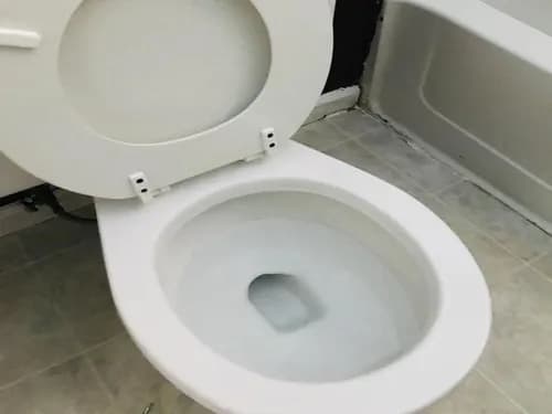 Leila Cleaning Services