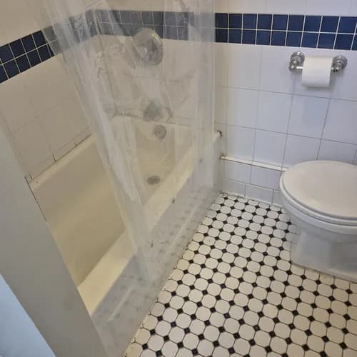 Leo Maids Cleaning Service - Photo 2