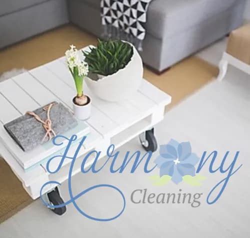 Lili Cleaning Services - Photo 4