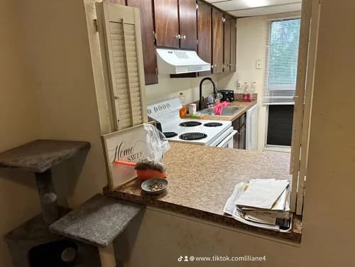 Liliane Cleaning Services Pro Work