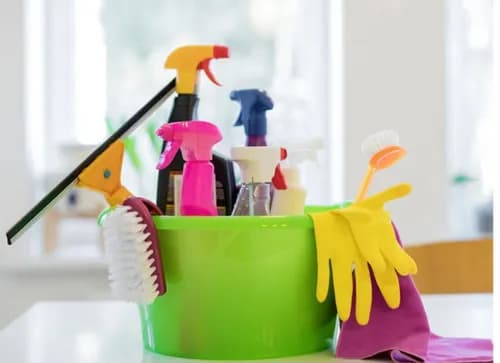 Lily Cleaning - Photo 1