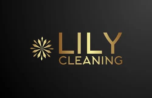 Lily Cleaning LLC
