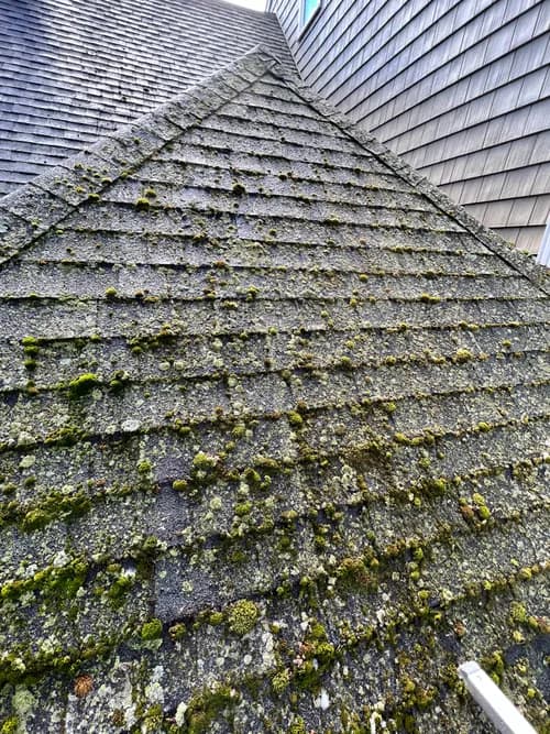 Lino's Cleaning Services