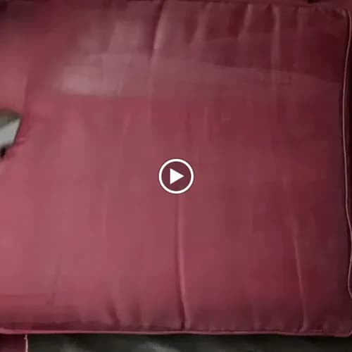 Live Easy Carpet And Upholstery Cleaning