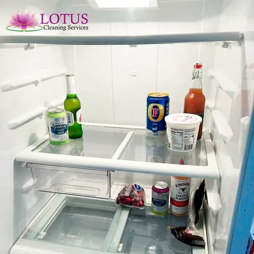 Lotus Cleaning Services