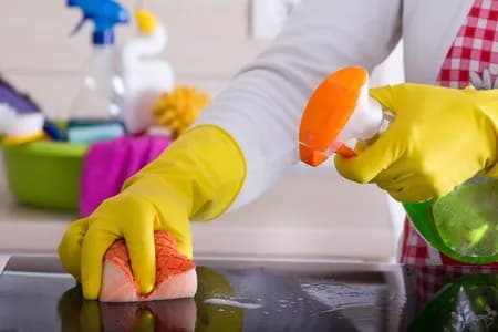 LUIS HOUSE CLEANING SERVICE