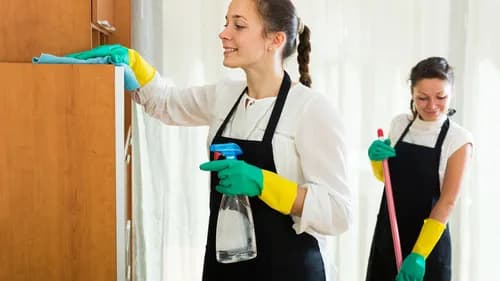 Lulu & Mimi's Cleaning