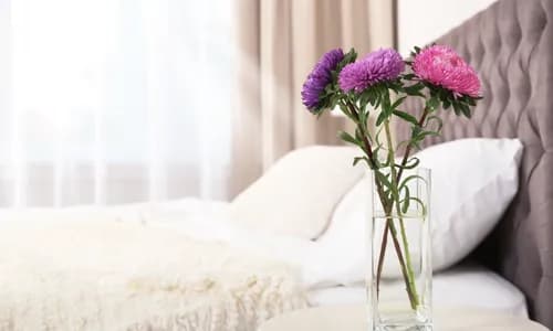 Lux Method - Elevated Cleaning Solutions