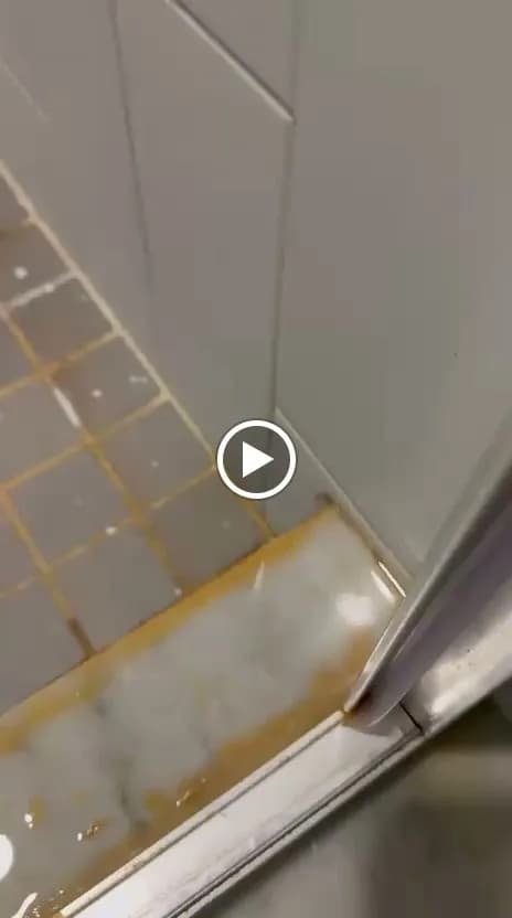 Machado Services USA - Photo 3