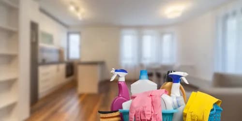 Made Maid Cleaning Service - Photo 1