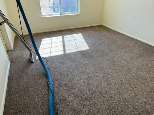 Magic Lady Cleaning Services LLC - Photo 2