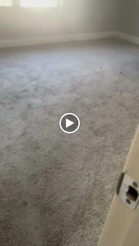 Magic Star Cleaning Services - Photo 3