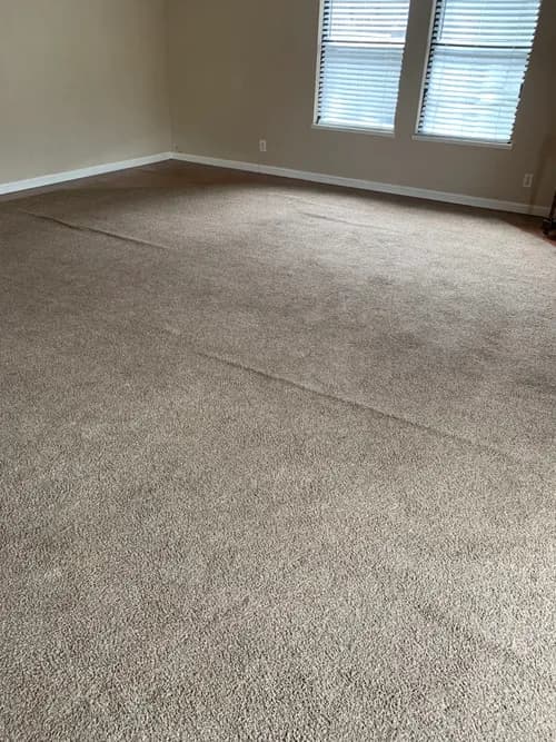 Magic Wand Professional Cleaning Services - Photo 1