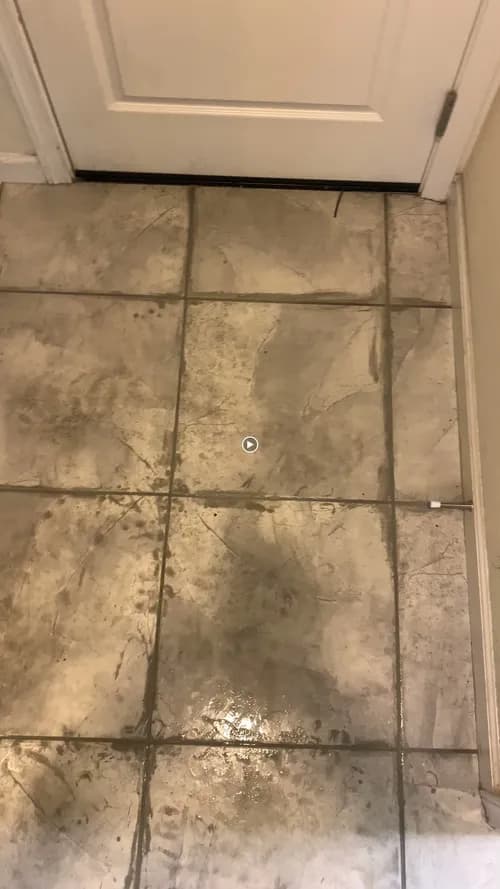 Magic Wand Professional Cleaning Services - Photo 2