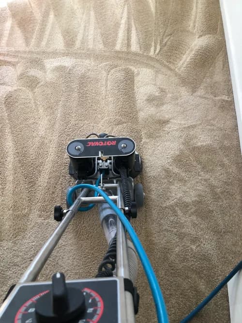 Magic Wand Professional Cleaning Services - Photo 4