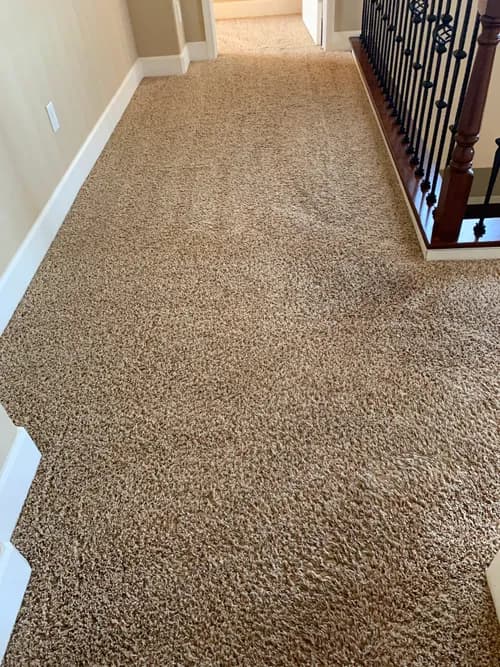 Magic Wand Professional Cleaning Services - Photo 3