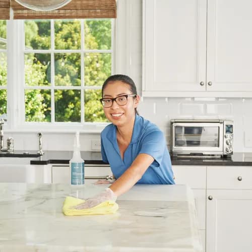 Maid Brigade of Atlanta