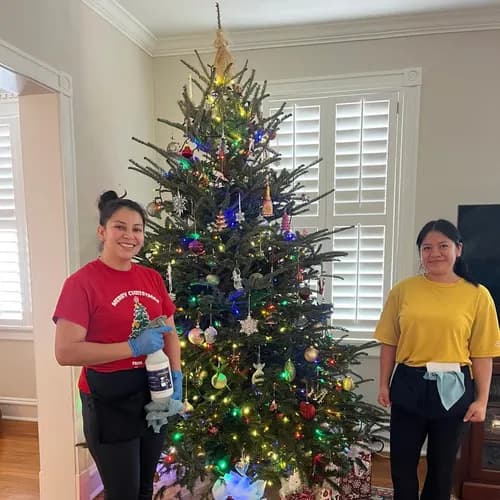 Maid Brigade of Richmond - Photo 2