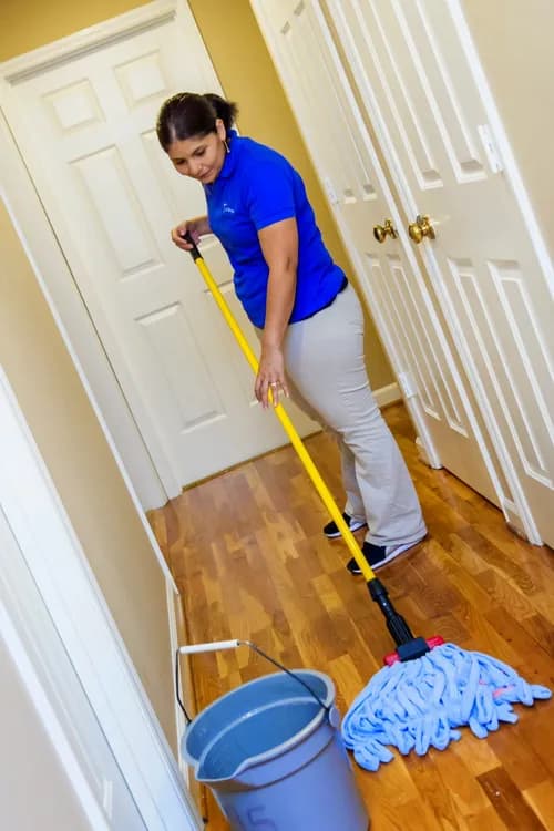 Maid Brigade of the Triad