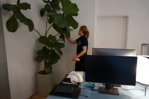 Maid For California - Photo 4