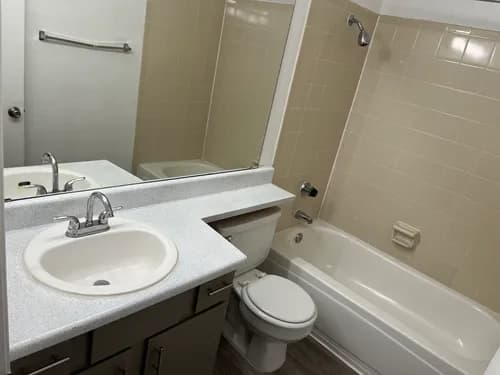 Maid In Bliss Cleaning, LLC - Photo 3