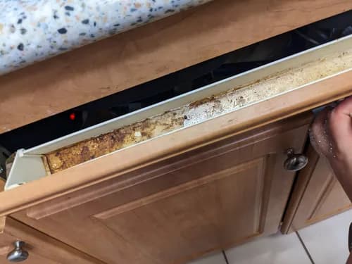 Maid In Heaven Home Cleaning - Photo 3