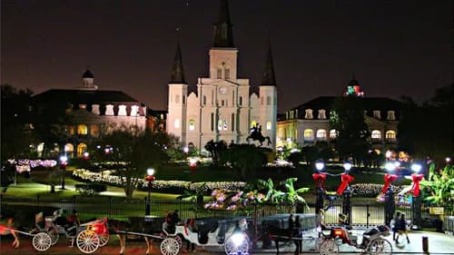 Maid in NOLA - Photo 2