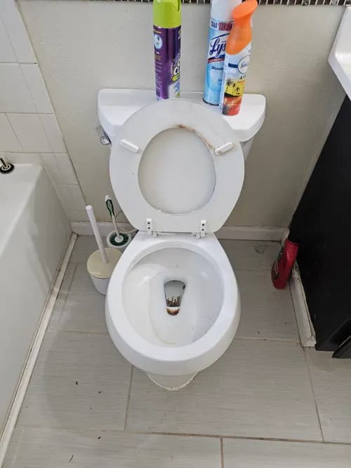 Maid In The Shade LLC - Photo 2