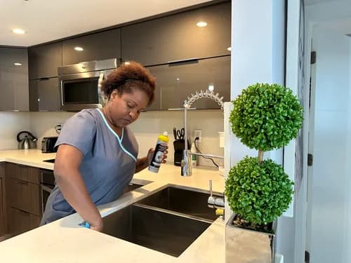 Maid Meticulous Cleaning Service Coral Gables - Photo 1