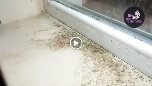 Maid To Perfection - Photo 4