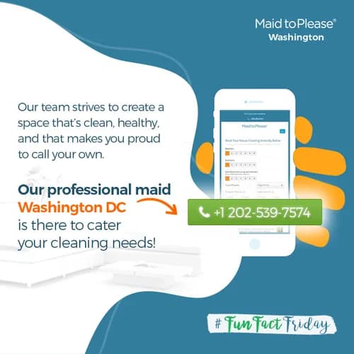 Maid to Please - Photo 2