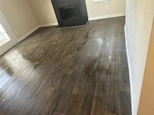 Maidlux Services - Photo 2