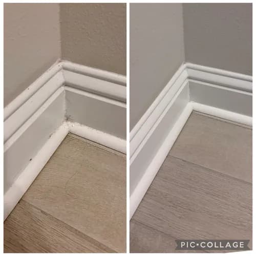 MaidPro Baton Rouge - Photo 2