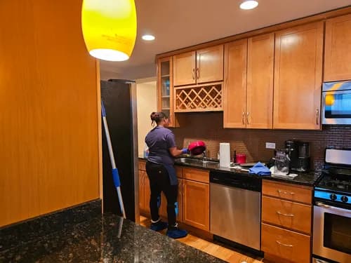 MaidPro Chicago Downtown, West & South - Photo 2