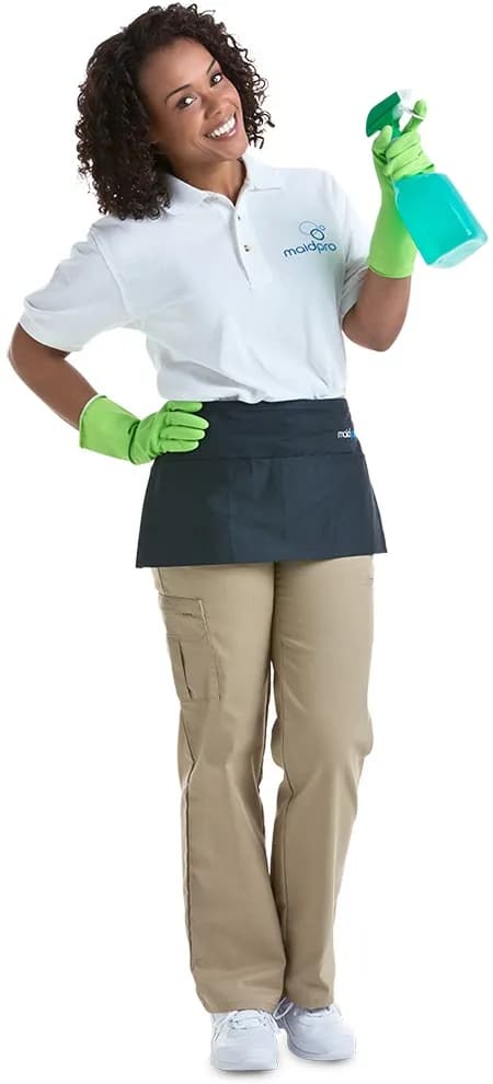 MaidPro - Photo 1