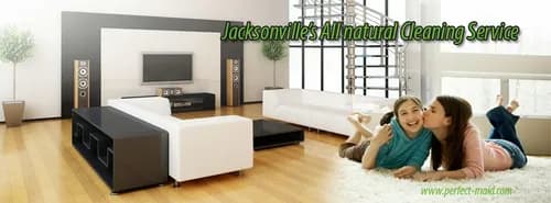 Maidpro of St Johns , Clay County & Jacksonville - Photo 4