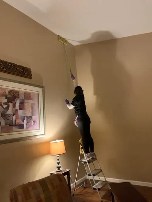 MaidPro Riverside - Photo 4