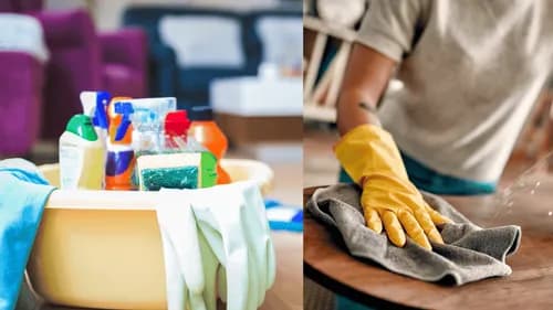 Maids in Pink Phoenix Move Out Cleaning Services - Photo 4