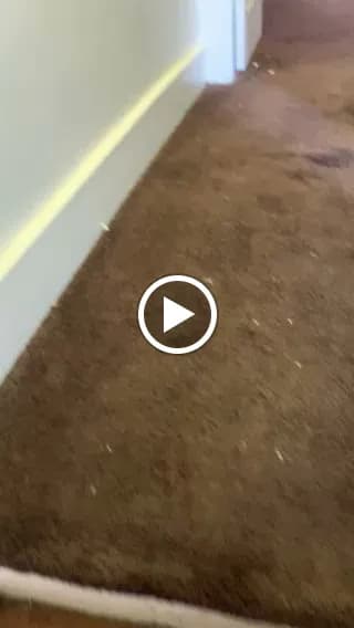 Majic Maids - Photo 3