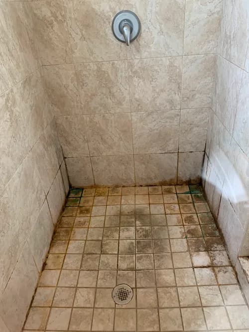 Maly Cleaning Services L.L.C.