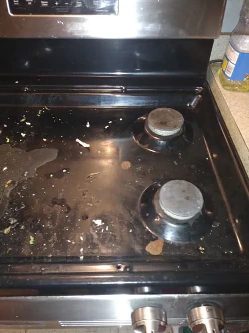 Mama Bear's Cleaning Services - Photo 3