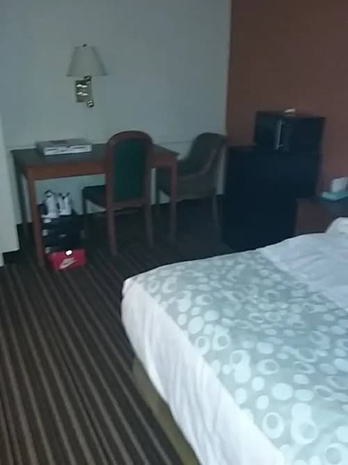 Mandys Bikini Maids LLC - Photo 3