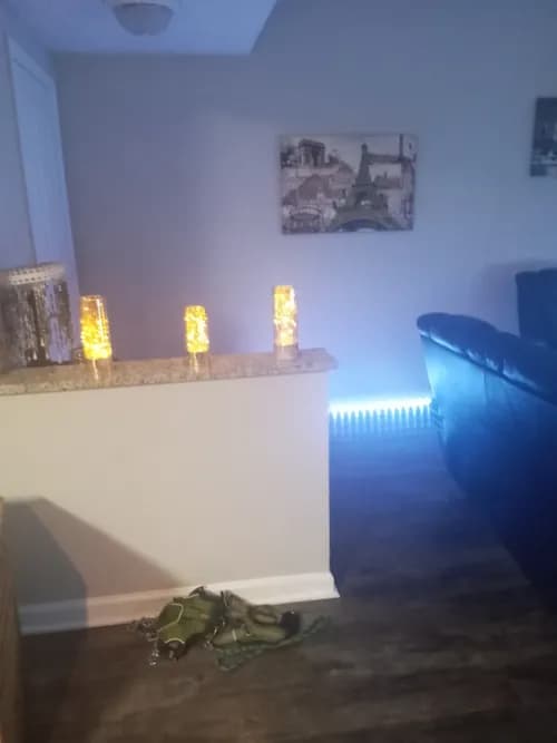 Mandys Bikini Maids LLC - Photo 2