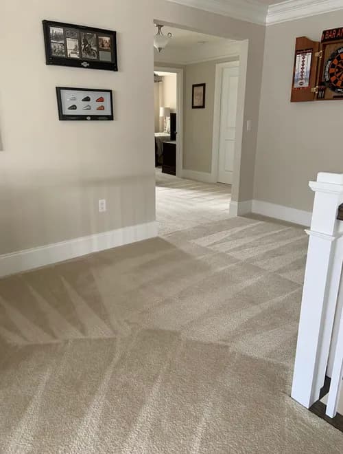 Maria Andrade Cleaning Services - Photo 3